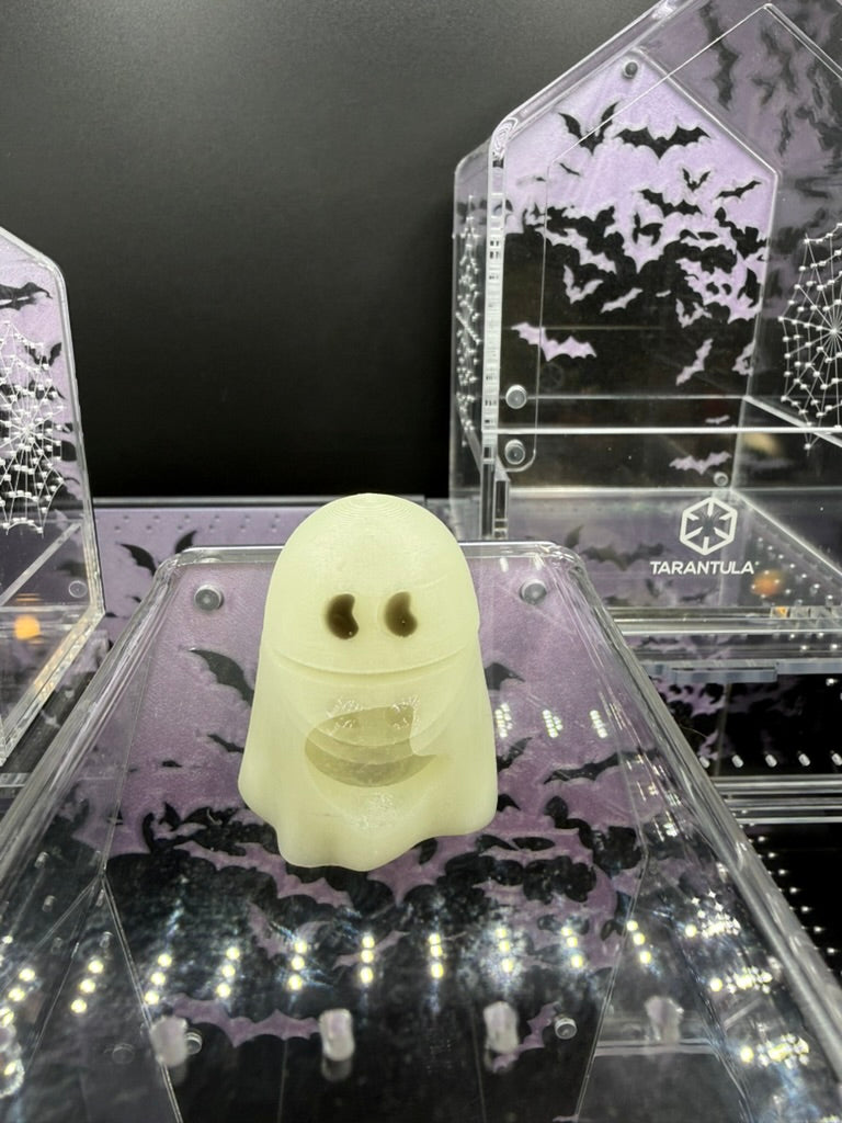 Ghost Jumping Spider Hide - Tarantula Kat X OrbitRanch Collab