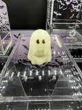 Ghost Jumping Spider Hide - Tarantula Kat X OrbitRanch Collab