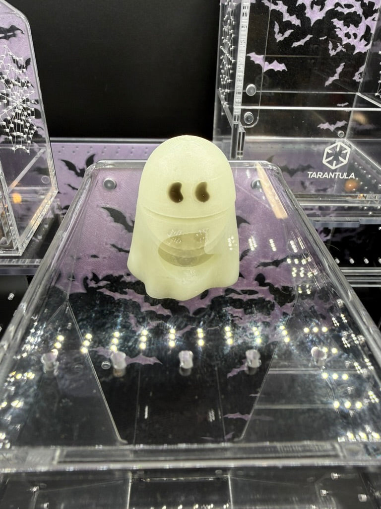 Ghost Jumping Spider Hide - Tarantula Kat X OrbitRanch Collab
