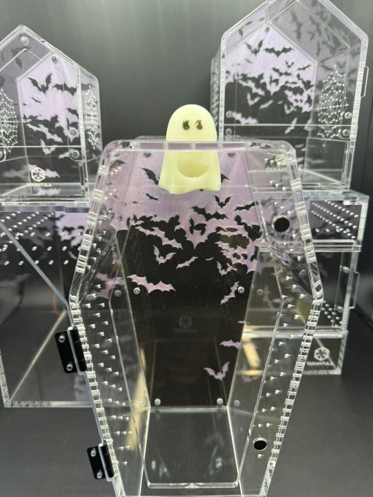 Ghost Jumping Spider Hide - Tarantula Kat X OrbitRanch Collab