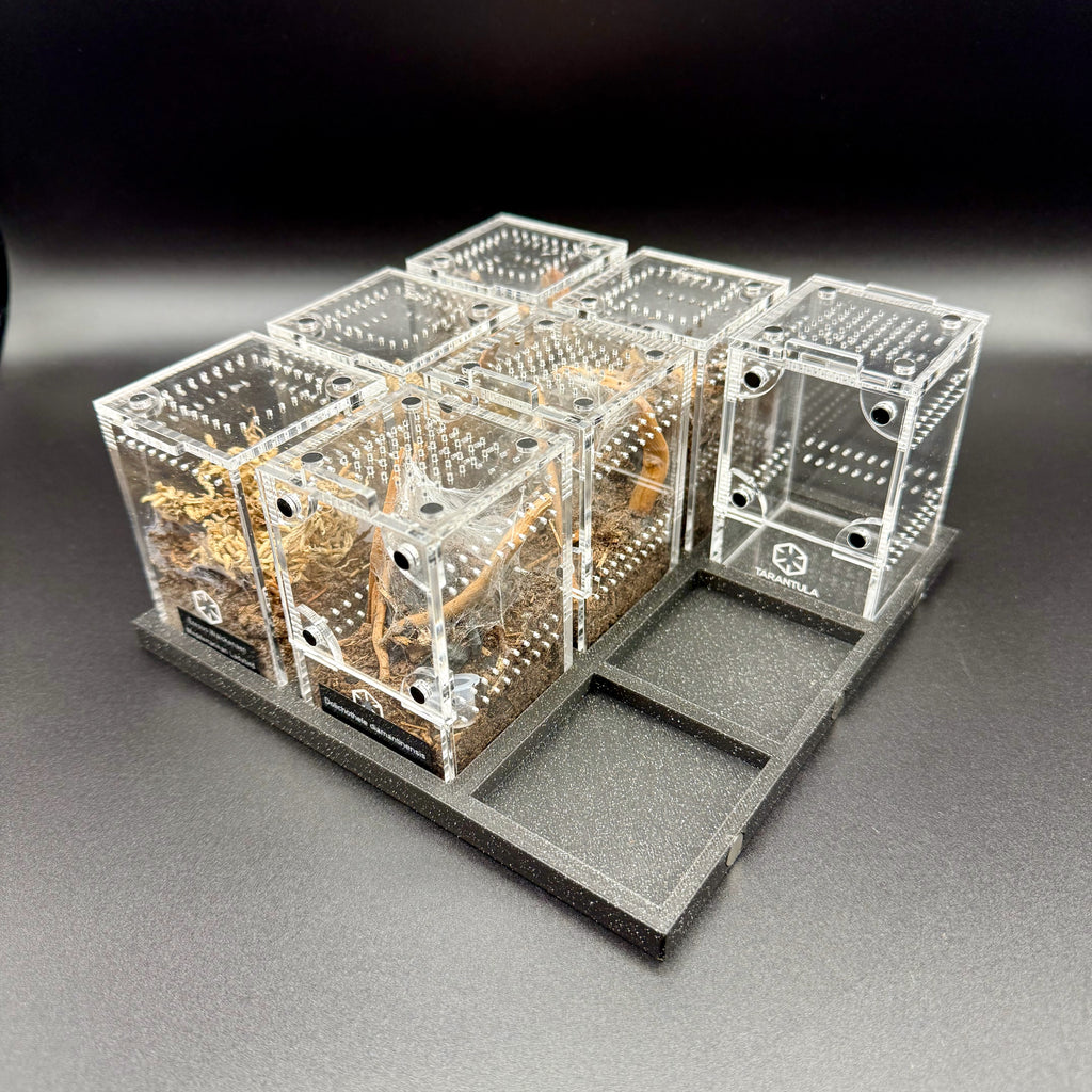 Tarantula Cribs Magnetic Trays - organizer trays for TC Sling enclosures (Made to order)