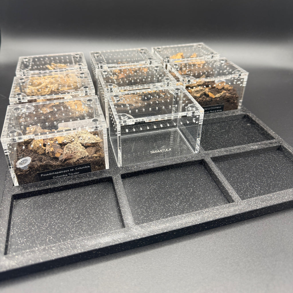 Stackable Tray System for Tarantula Cribs (Large)  - stackable organizer trays for TC Sling enclosures (Made to order)