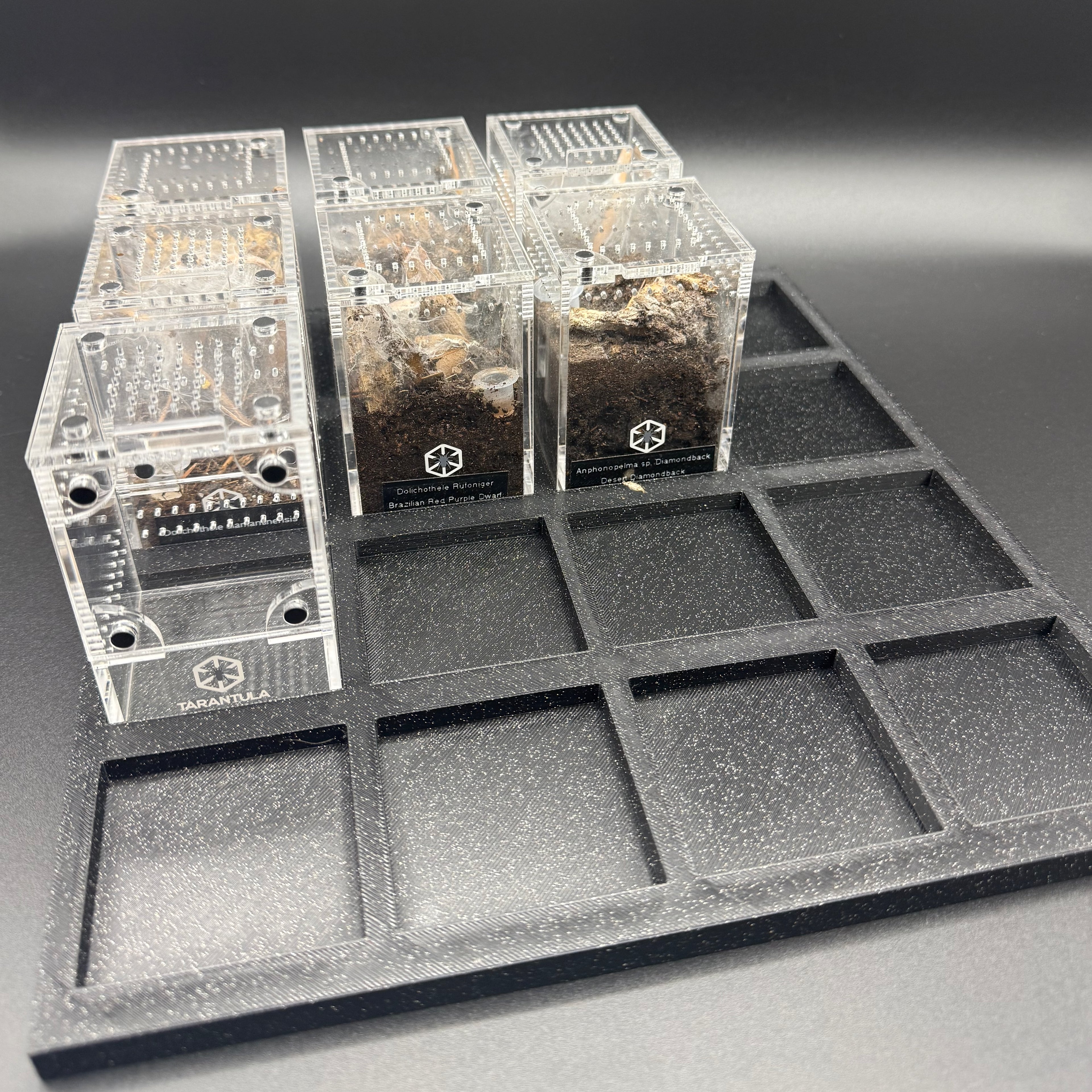 Tarantula Cribs Trays Large (Non-Magnetic) - organizer trays for TC Sling enclosures (Made to order)