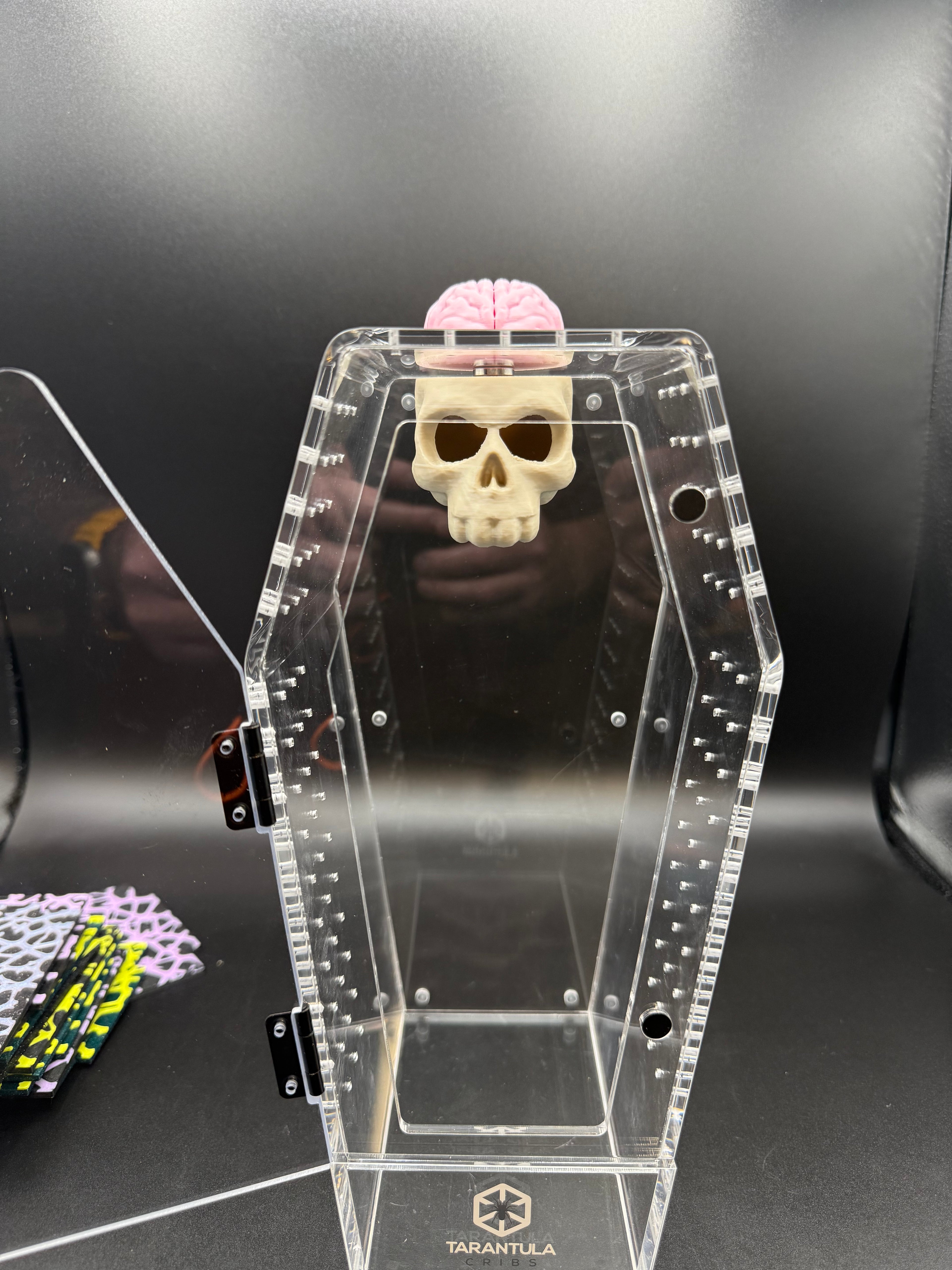 Magnetic Skull & Brain Jumping Spider Hide
