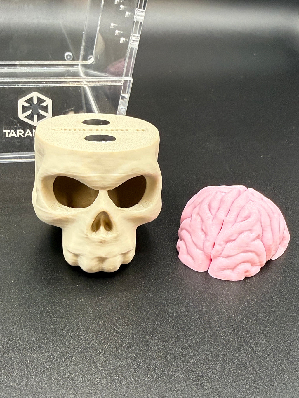 Magnetic Skull & Brain Jumping Spider Hide