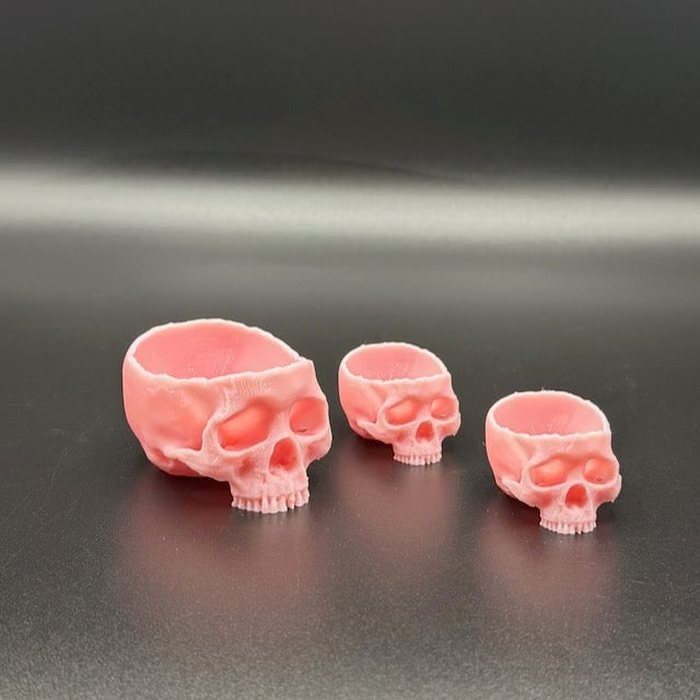 Skull Water Dish for Tarantulas & Reptiles – Durable PETG, 2 Sizes