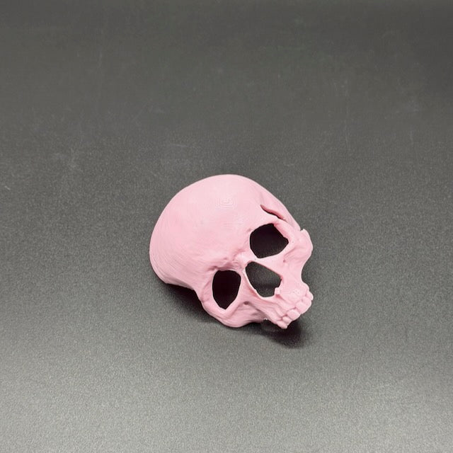 Skull Hide for Tarantulas & Reptiles – 3D Printed, Multiple Sizes