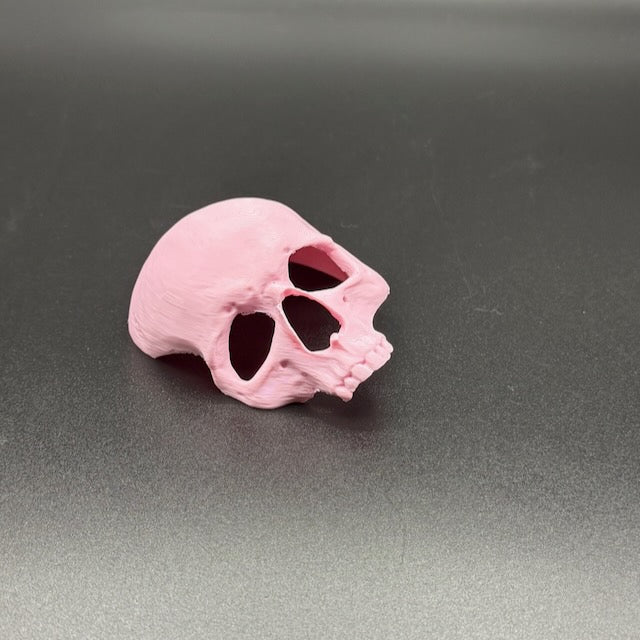 Skull Hide for Tarantulas & Reptiles – 3D Printed, Multiple Sizes