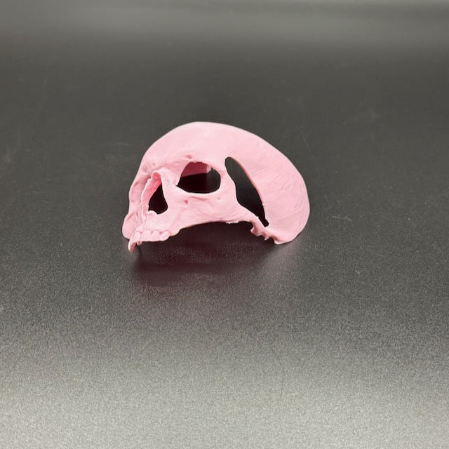 Skull Hide for Tarantulas & Reptiles – 3D Printed, Multiple Sizes