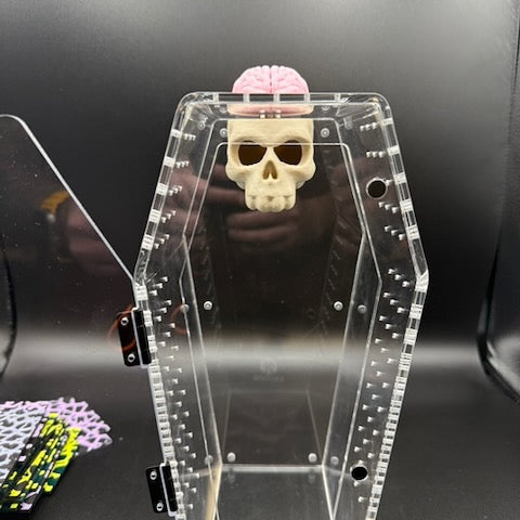 Skull & Brain Jumping Spider Hide Magnetic