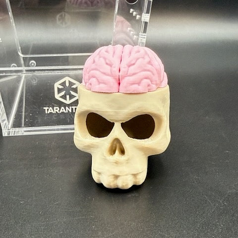 Skull & Brain Jumping Spider Hide Magnetic