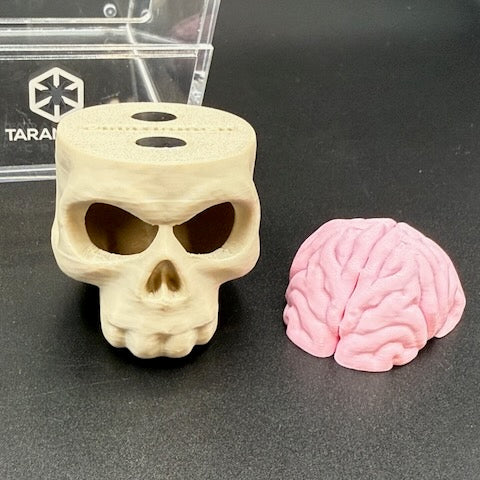 Skull & Brain Jumping Spider Hide Magnetic
