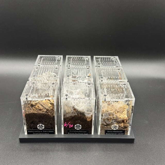 Stackable Tray System for Tarantula Cribs (Medium)  - stackable organizer trays for TC Sling enclosures (Made to order)
