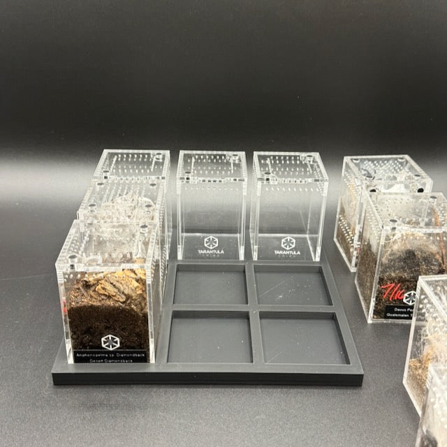 Stackable Tray System for Tarantula Cribs (Medium)  - stackable organizer trays for TC Sling enclosures (Made to order)