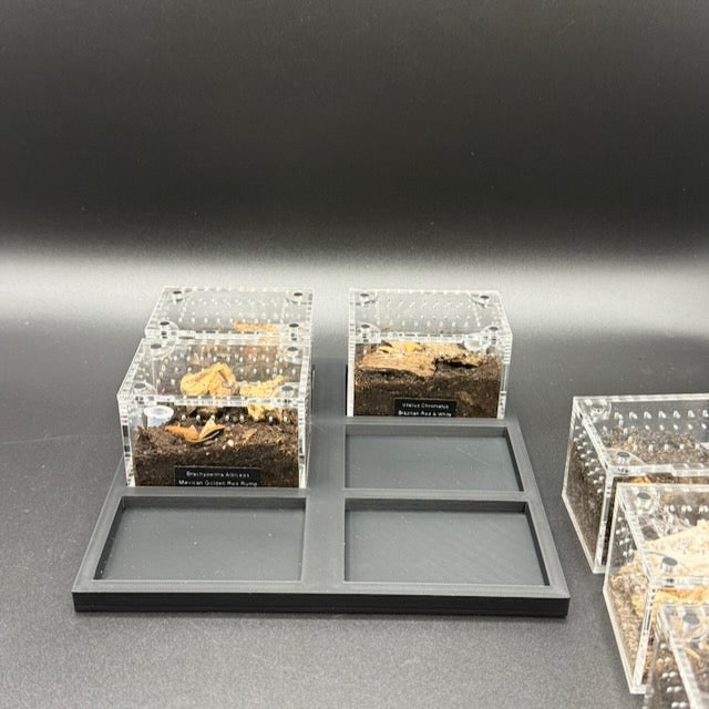 Stackable Tray System for Tarantula Cribs (Medium)  - stackable organizer trays for TC Sling enclosures (Made to order)