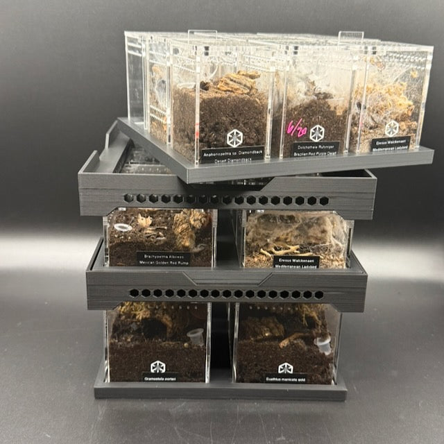 Stackable Tray System for Tarantula Cribs (Medium)  - stackable organizer trays for TC Sling enclosures (Made to order)