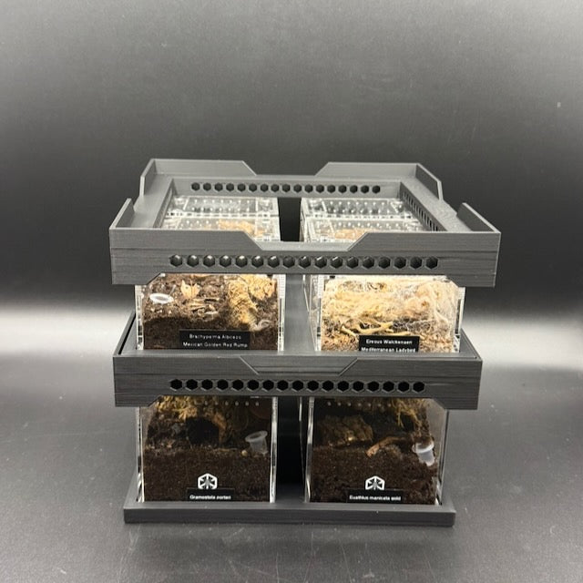 Stackable Tray System for Tarantula Cribs (Medium)  - stackable organizer trays for TC Sling enclosures (Made to order)
