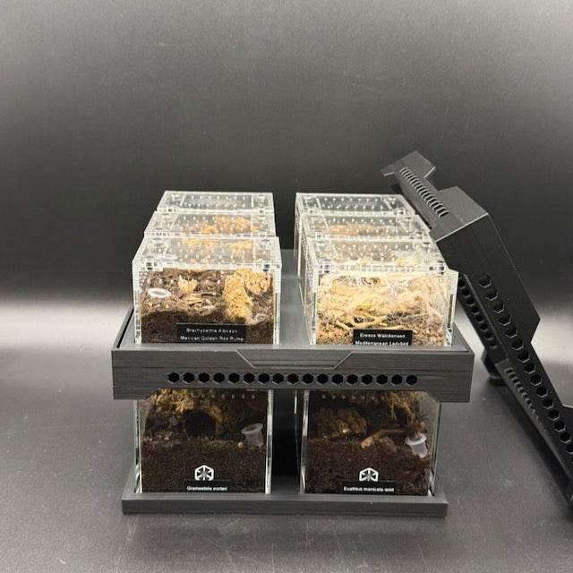 Stackable Tray System for Tarantula Cribs (Medium)  - stackable organizer trays for TC Sling enclosures (Made to order)