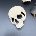 Skull Hide for Tarantulas & Reptiles – 3D Printed, Multiple Sizes