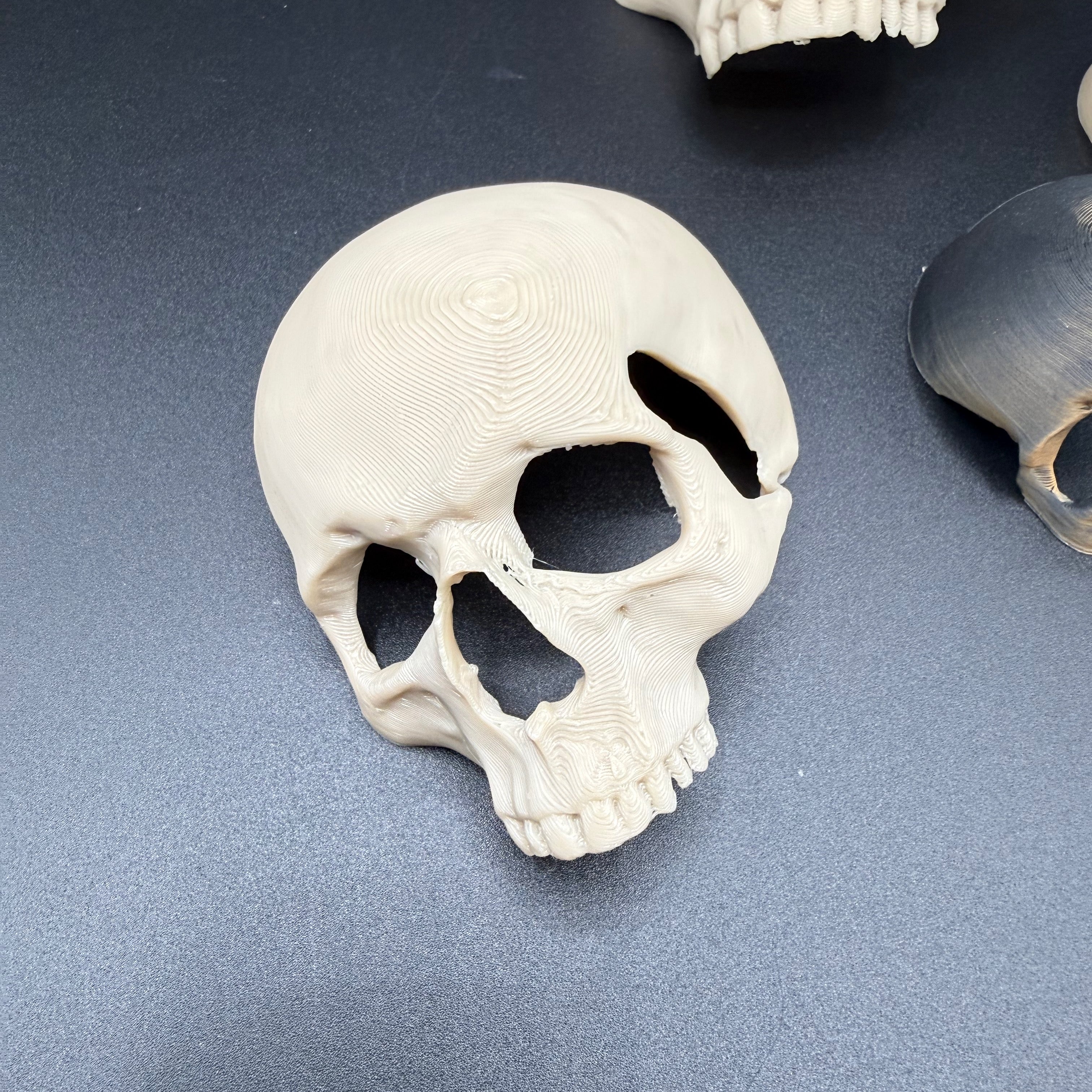 Skull Hide for Tarantulas & Reptiles – 3D Printed, Multiple Sizes