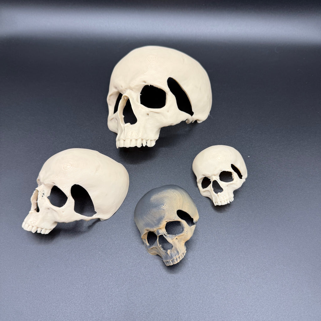 Skull Hide for Tarantulas & Reptiles – 3D Printed, Multiple Sizes