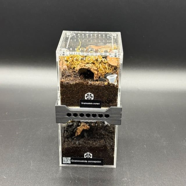 Stacker for Tarantula Cribs  – Space-Saving Enclosure Riser with Airflow Vents