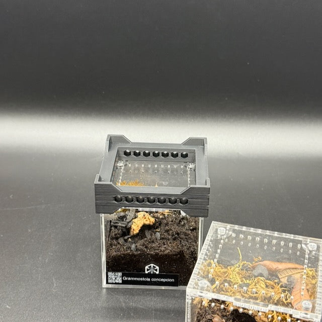 Stacker for Tarantula Cribs  – Space-Saving Enclosure Riser with Airflow Vents