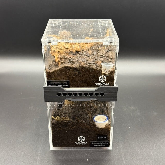 Stacker for Tarantula Cribs  – Space-Saving Enclosure Riser with Airflow Vents