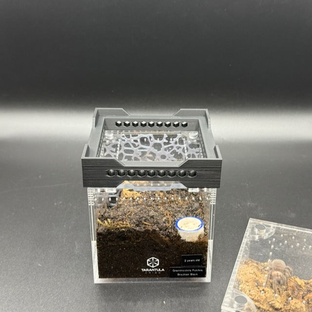 Stacker for Tarantula Cribs  – Space-Saving Enclosure Riser with Airflow Vents