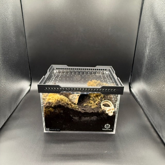 Stacker for Tarantula Cribs  – Space-Saving Enclosure Riser with Airflow Vents