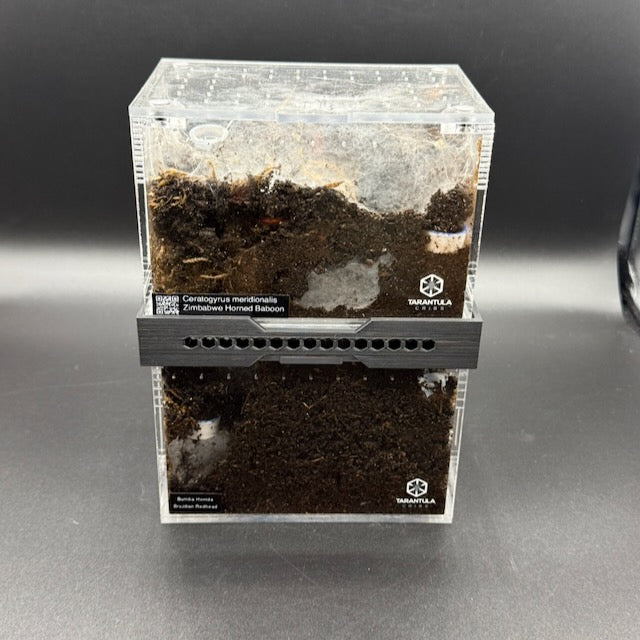 Stacker for Tarantula Cribs  – Space-Saving Enclosure Riser with Airflow Vents