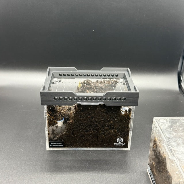 Stacker for Tarantula Cribs  – Space-Saving Enclosure Riser with Airflow Vents