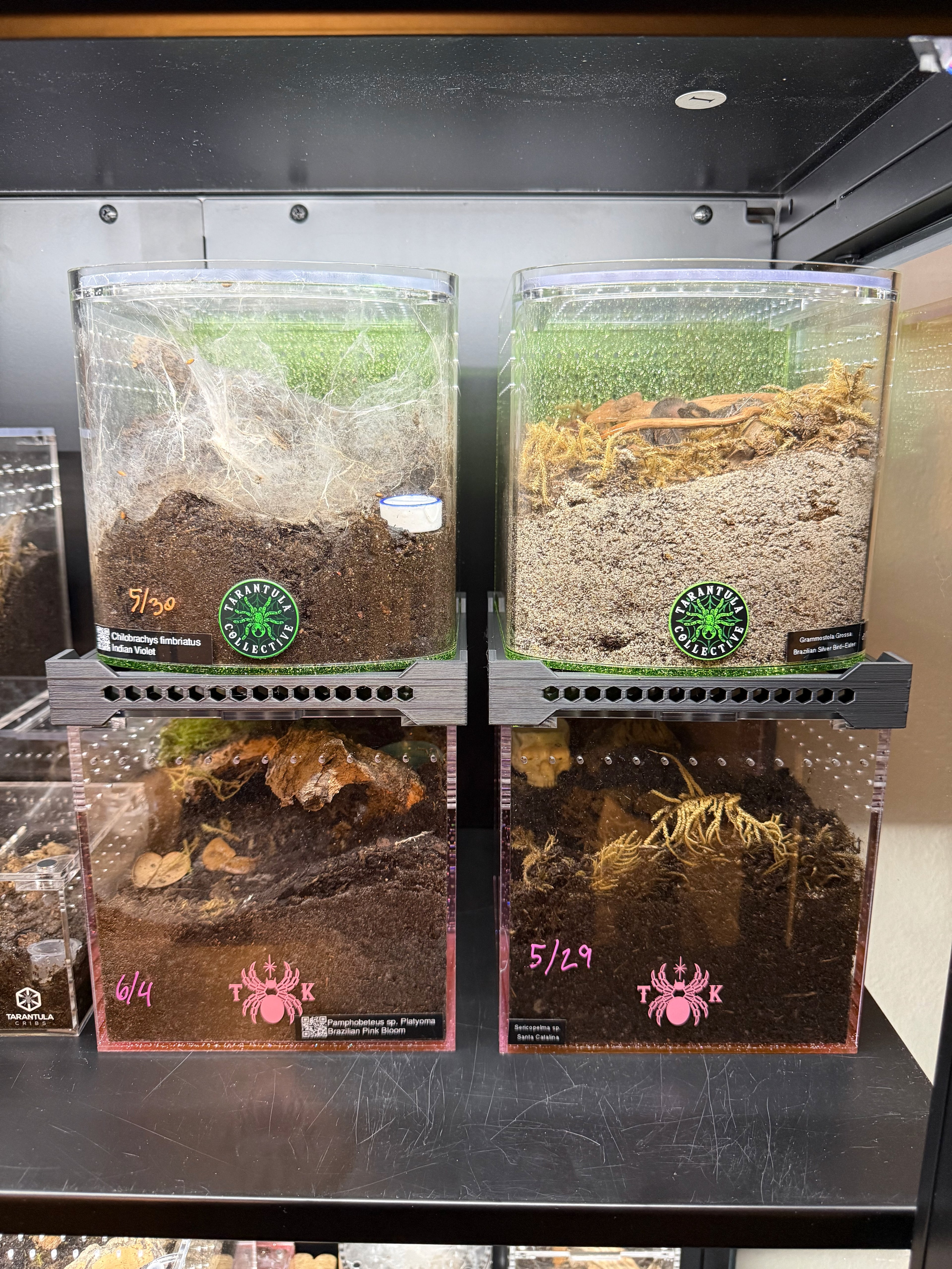 Tarantula Cribs Stacker – Space-Saving Enclosure Riser with Airflow Vents