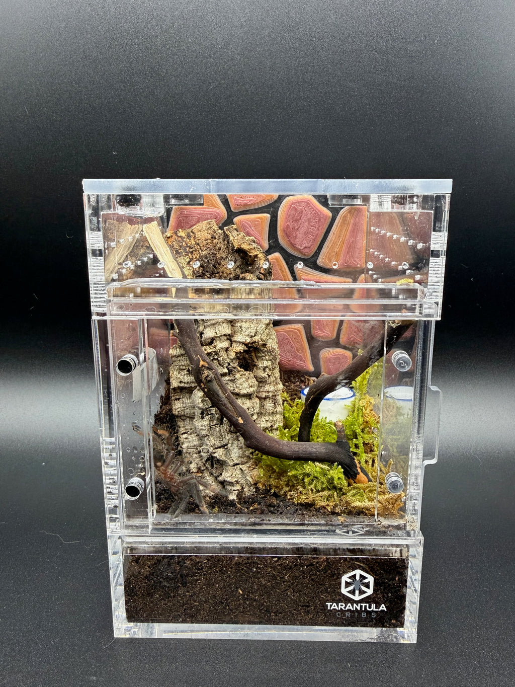 Stone Wall (Inside Mount) - Tarantula Cribs Background