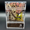 Stone Wall (Inside Mount) - Tarantula Cribs Background