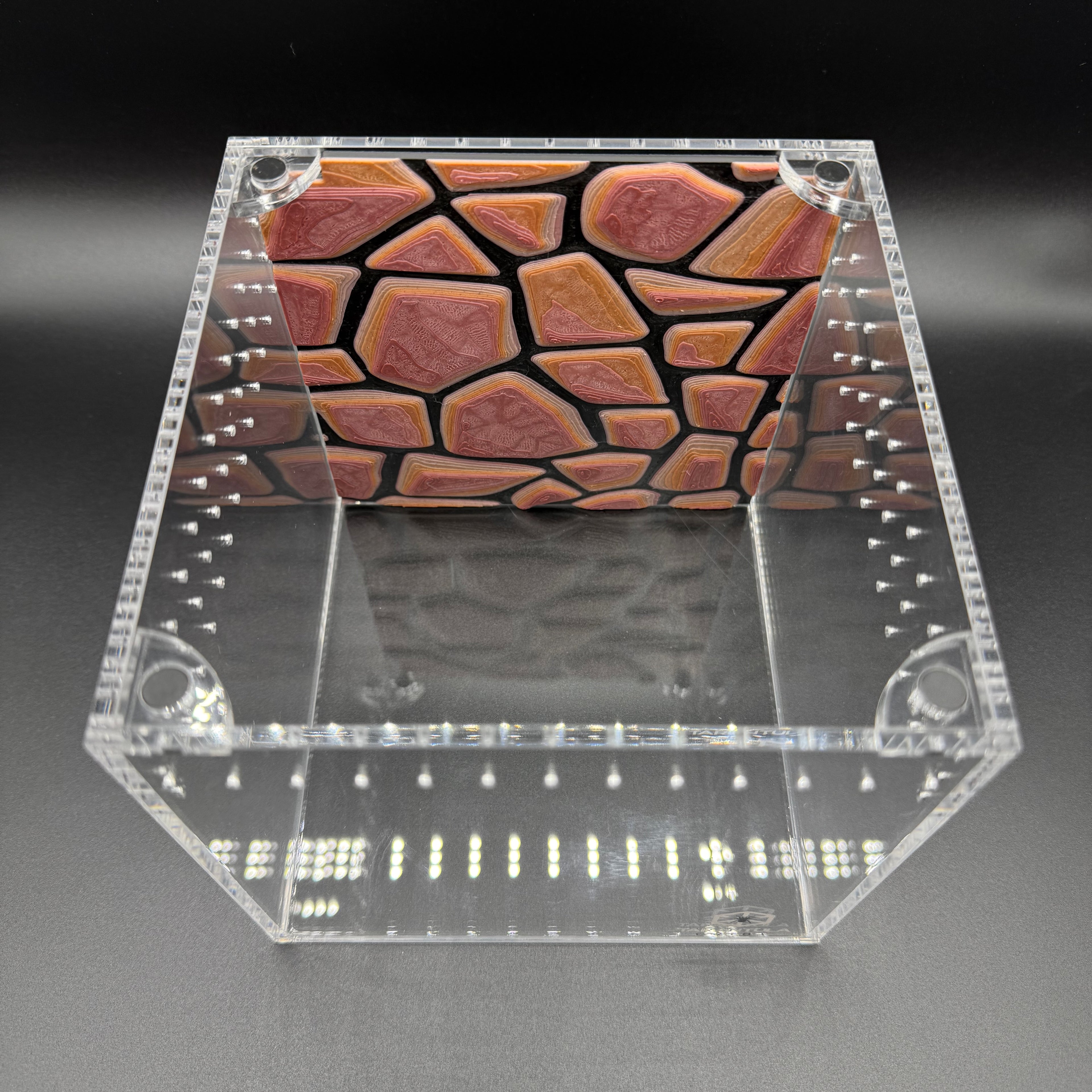 Stone Wall (Inside Mount) - Tarantula Cribs Background
