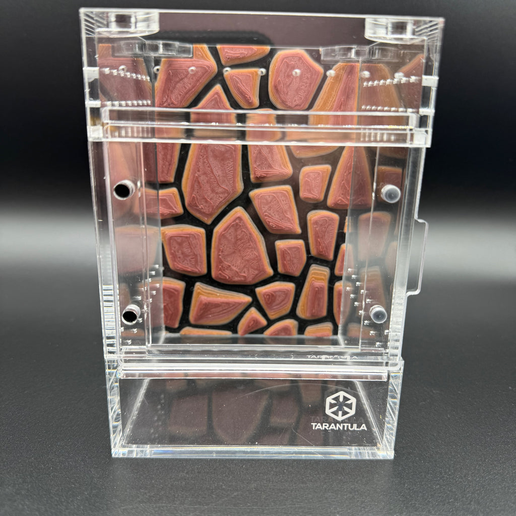 Stone Wall (Inside Mount) - Tarantula Cribs Background