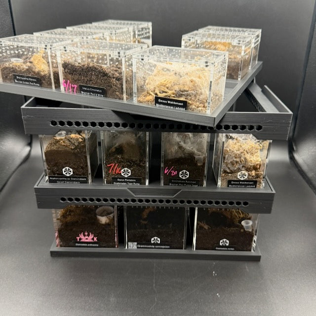 Stackable Tray System for Tarantula Cribs (Large)  - stackable organizer trays for TC Sling enclosures (Made to order)