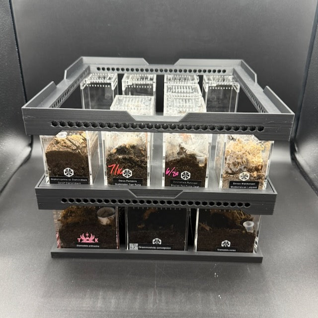 Stackable Tray System for Tarantula Cribs (Large)  - stackable organizer trays for TC Sling enclosures (Made to order)