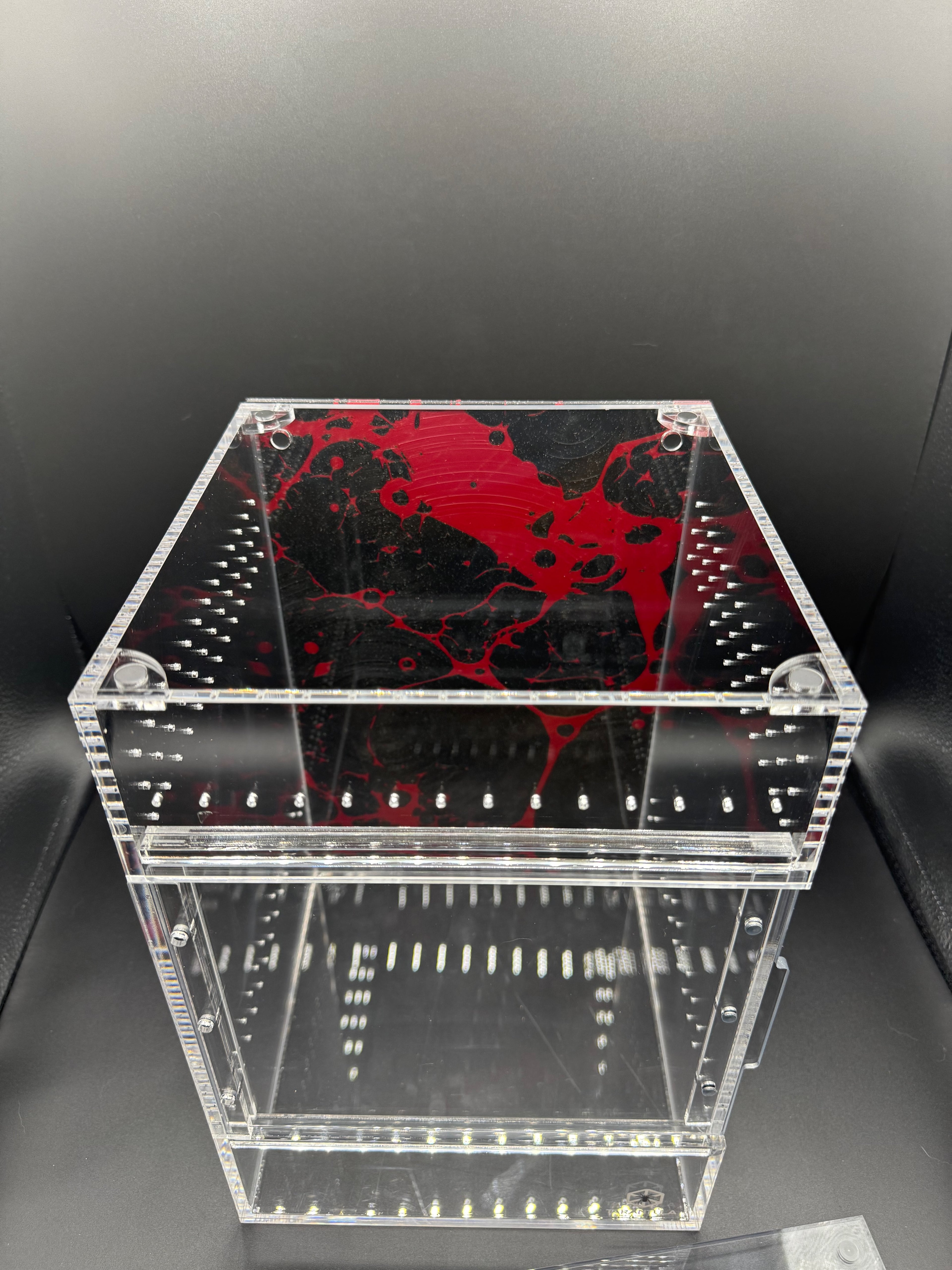 Raining Blood - Tarantula Cribs Background