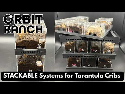 Stackable Tray System for Tarantula Cribs (Medium)  - stackable organizer trays for TC Sling enclosures (Made to order)