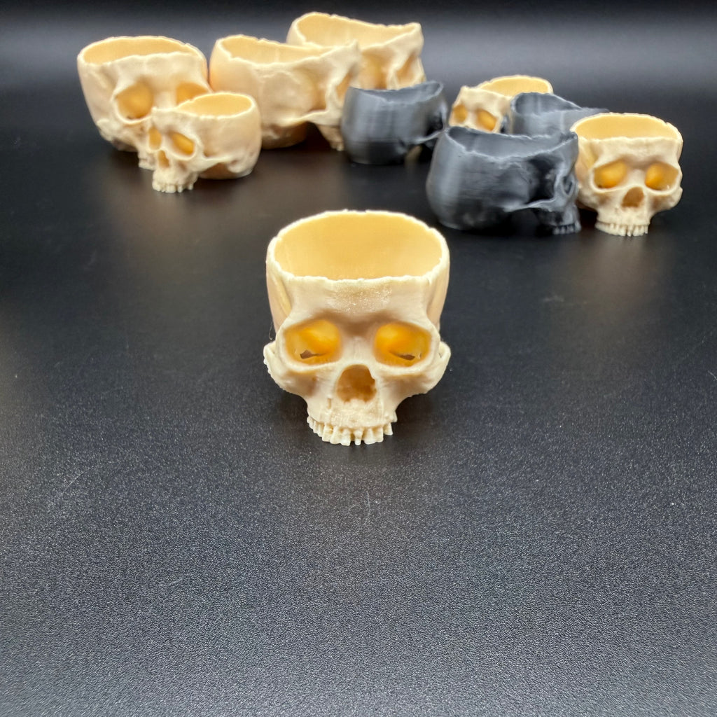 Skull Water Dish for Tarantulas & Reptiles – Durable PETG, 2 Sizes