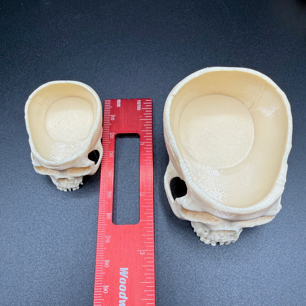 Skull Water Dish for Tarantulas & Reptiles – Durable PETG, 2 Sizes